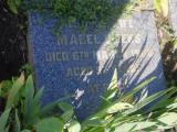 image of grave number 954011